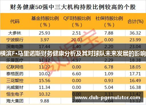 横滨F·马里诺斯财务健康分析及其对球队未来发展的影响 横滨F·马里诺斯财务健康分析及其对球队未来发展的影响